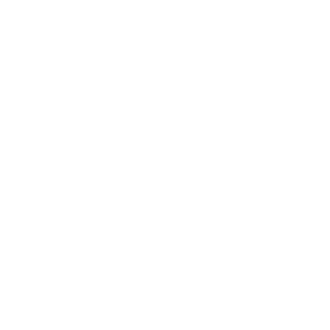 prostore logo23