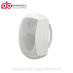 Decorative Wall Speaker PR61SD220 2