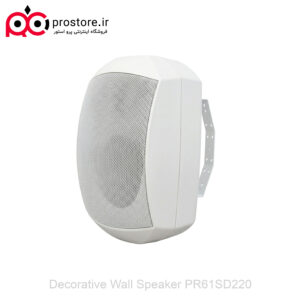 Decorative Wall Speaker PR61SD220 2